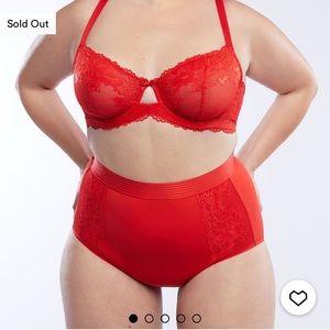 Savage X Fenty High Waisted Lace Briefs